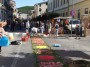 infiorata (52)